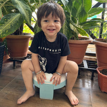 Foldable Potty Seat (Big)