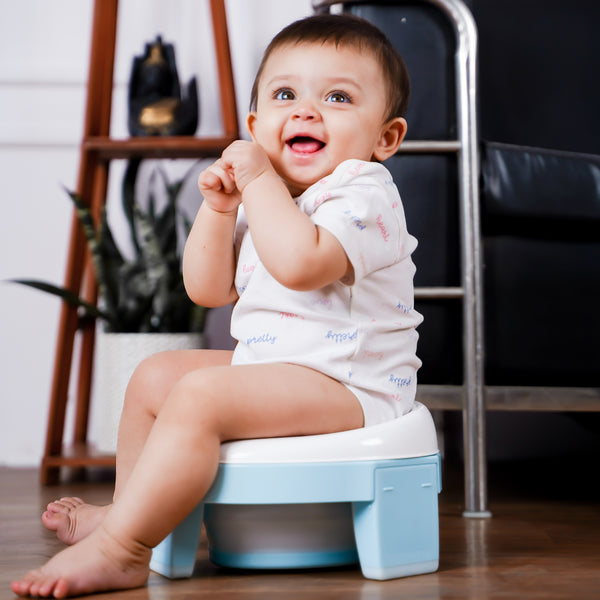 Foldable Potty Seat (Big)