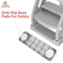 Potty Toilet Training Seat with Ladder with Step Stool for Baby Kids & Splash Guard Age: 18 months to 60 months